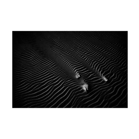 Waldemar Lipinski 'Sand 2' Canvas Art, 22x32